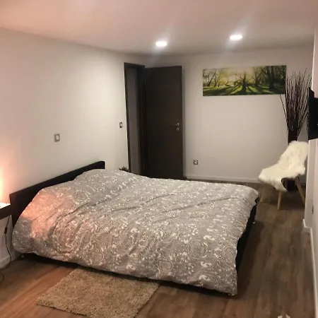 The Family Industry * Colmar