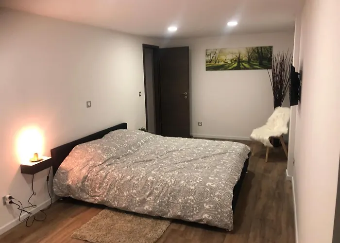 The Family Industry * 科尔马