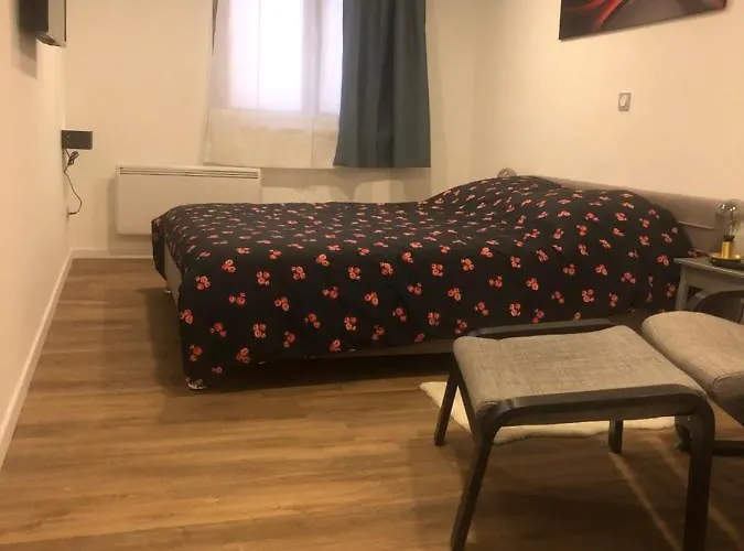 The Family Industry アパート コルマール