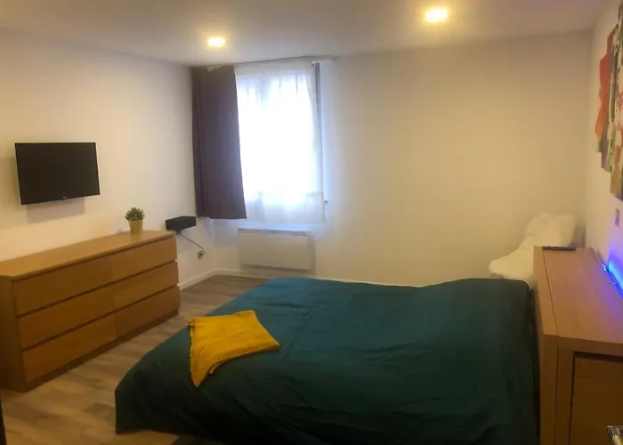 The Family Industry 科尔马